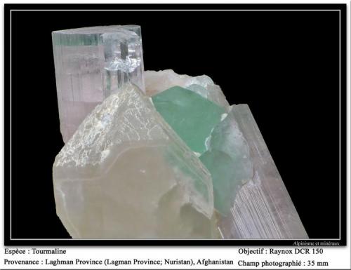 Elbaite on Quartz
Laghman, Afghanistan
fov 35 mm (Author: ploum)