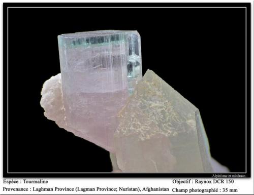 Elbaite on Quartz
Laghman, Afghanistan
fov 35 mm (Author: ploum)