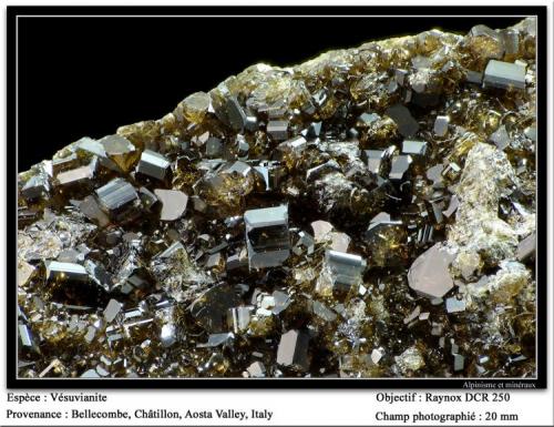 Vesuvianite
Bellecombe, Châtillon, Aosta Valley, Italy
fov 20 mm (Author: ploum)