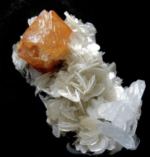 Scheelite, beryl, muscovite
Xuebaoding, Huya, Pingwu, Mianyang, Sichuan, China
102 mm x 70 mm (Author: Carles Millan)