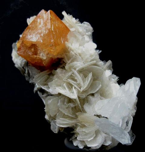 Scheelite, beryl, muscovite
Xuebaoding, Huya, Pingwu, Mianyang, Sichuan, China.
102 mm x 70 mm. (Author: GneissWare)