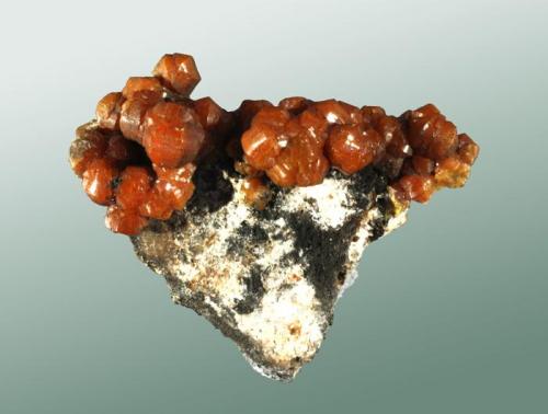 Mimetita (campylita)
Caldbeck Fells, Cumberland, Inglaterra, Reino Unido. Dry Gill (m).
3,8x3,7x1,9 cm.
Agregado de cristales abarrilados, de color naranja, en matriz.
Ejemplar obtenido en 2002
MINDAT ID: 314131
procedente de la colección de Martín Oliete Fontela (Madrid) (número 3) (Autor: Carles Curto)