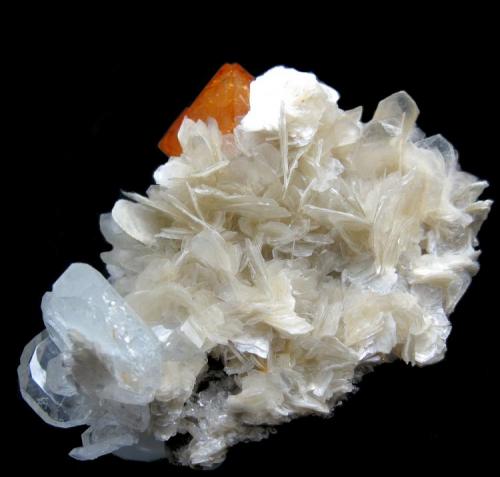 Scheelite, beryl, muscovite
Xuebaoding, Huya, Pingwu, Mianyang, Sichuan, China
102 mm x 70 mm (Author: Carles Millan)