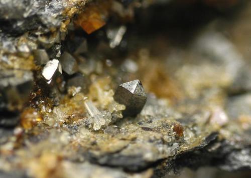 Arsenopirita
Mina Probadora (mina de La Estrella), Güejar Sierra, Granada, Andalucía, España
Encuadre 3mm
1990 (Autor: Carlos Pareja)