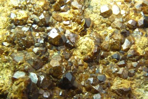 Granate<br />Del Socau Mine, Vallcàrquera, Figaró-Montmany, Comarca Vallès Oriental, Barcelona, Catalonia / Catalunya, Spain<br />110 x 75 mm.<br /> (Autor: Jesus Franquesa Baucells)
