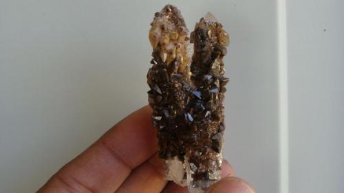 Quartz, calcite.
Santa Eulalia, Aquiles Serdán, Chihuahua, Mexico
8 cm. (Author: javmex2)