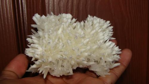 Aragonite
Carmen Mine, Santa Eulalia, Aquiles Serdán, Chihuahua, Mexico
10 cm. (Author: javmex2)