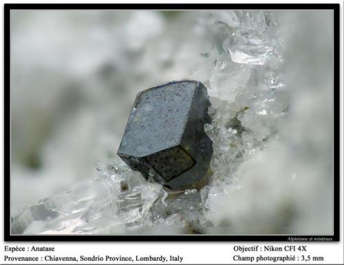 Anatase
Chiavenna, Lombardia, Italy
fov 3.5 mm (Author: ploum)