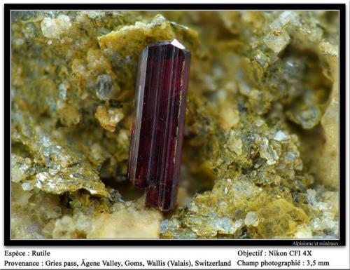 Rutile
Gries pass, Wallis, Switzerland
fov 3.5 mm (Author: ploum)