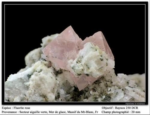 Fluorite (pink)
Aiguille Verte area, Mont Blanc massif, France
fov 20 mm (Author: ploum)