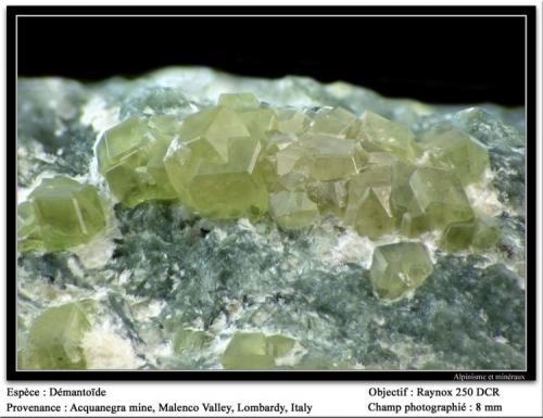 Andradite variety demantoid
Val Malenco, Italy
fov 8 mm (Author: ploum)