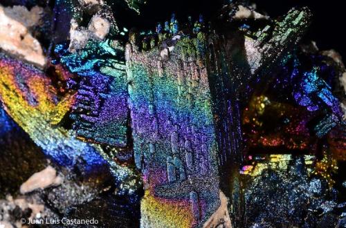 Goethita recubriendo anglesita pseudomorfizando cerusita
Cantera San Valentín. Sierra Minera de Cartagena-La Unión. La Unión. Murcia. España.
10.5x6 cm. Cristal mayor 3.7 cm. (Autor: Juan Luis Castanedo)