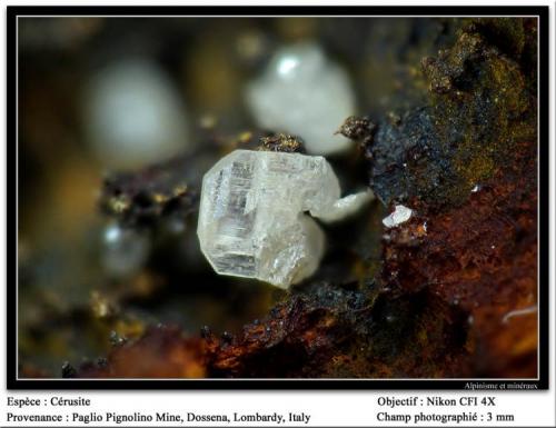 Cerussite
Paglio Pignolino Mine,  Dossena,  Brembana Valley,  Bergamo,  Lombardy, Italy
fov 3 mm (Author: ploum)