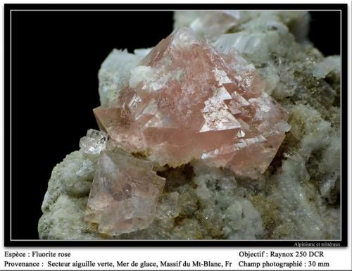 Fluorite (pink)
Aiguille Verte area, Mont Blanc , France
fov 30 mm (Author: ploum)