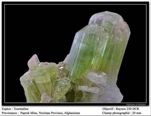 Tourmaline
Paprok, Afghanistan
fov 20 mm (Author: ploum)