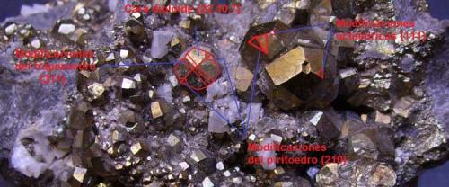 Pirita
Duff Quarry, Logan County, Ohio, EEUU
Ampliación con indicación posible de las caras e índices de Miller siguiendo lo estudiado en Richards y Vasichko. Los cristales de mi pieza son diploides {22.10.7} modificados por trapezoedros {311} de forma un tanto irregular, por alguna cara del octaedro {111} -que no aparecen simétricamente en todas las posiciones esperadas- y por el piritoedro {210}. (Autor: Antonio Alcaide)