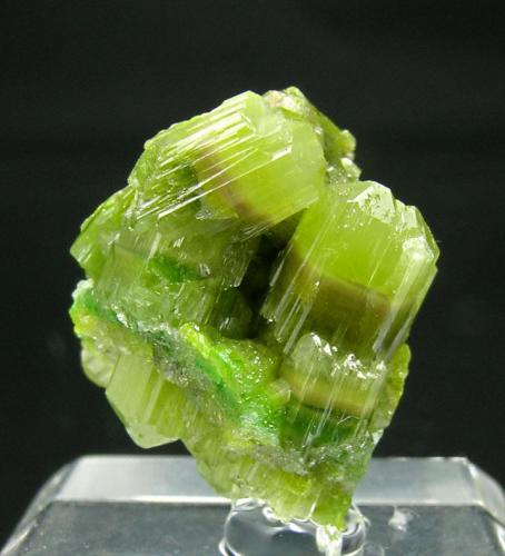 Piromorfita
El Horcajo, Ciudad Real, España
Encontrada hacia 1920
Tamaño de la pieza: 1.6 × 1.3 × 0.9 cm.
Leve fluorescencia con UV onda larga y corta
Foto: Ejemplares de Referencia (Autor: Jordi Fabre)