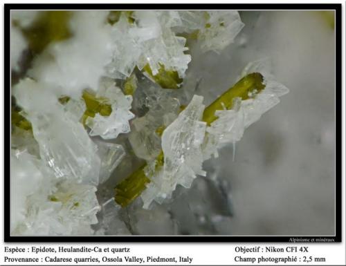 Epidote with Heulandite-Ca and Quartz
Cadarese quarries, Premia, Antigorio Valley, Ossola Valley, Verbano-Cusio-Ossola Province, Piedmont, Italy
fov 2.5 mm (Author: ploum)