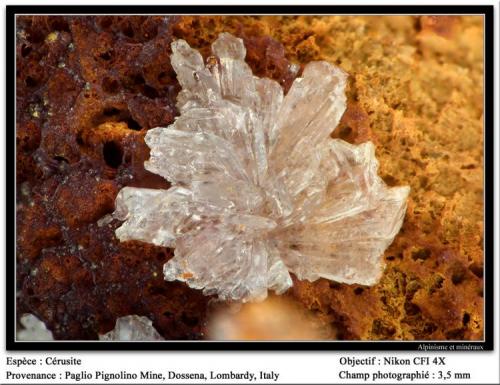 Cerussite
Paglio Pignolino Mine,  Dossena,  Brembana Valley,  Bergamo,  Lombardy, Italy
fov 3.5 mm (Author: ploum)