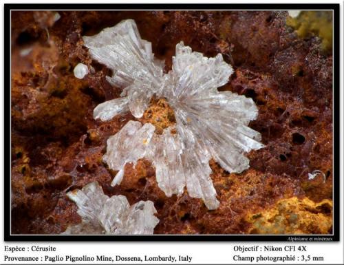 Cerussite
Paglio Pignolino Mine,  Dossena,  Brembana Valley,  Bergamo,  Lombardy, Italy
fov 3.5 mm (Author: ploum)