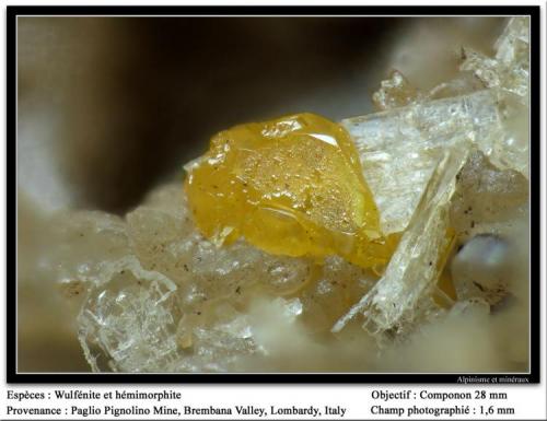 Wulfenite and hemimorphite
Paglio Pignolino Mine,  Dossena,  Brembana Valley,  Bergamo,  Lombardy, Italy
fov 1.6 mm (Author: ploum)