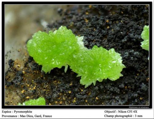 Pyromorphite
Mas Dieu, Gard, France
fov 3 mm (Author: ploum)