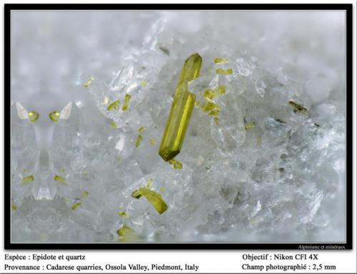 Epidote
Cadarese quarries, Premia, Antigorio Valley, Ossola Valley, Verbano-Cusio-Ossola Province, Piedmont, Italy
fov 2.5 mm (Author: ploum)