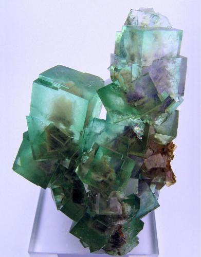 Fluorita
Mina Xianghuapu, Xianghualing, Linwu, Chenzhou, Hunan, China
113 mm x 80 mm x 52 mm (Autor: Carles Millan)