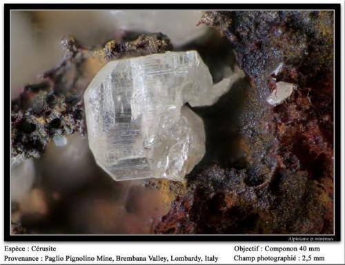 Cerussite
Paglio Pignolino Mine, Dossena, Brembana Valley, Bergamo, Lombardy, Italy
fov 2.5 mm (Author: ploum)