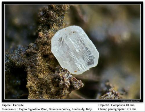 Cerussite
Paglio Pignolino Mine, Dossena, Brembana Valley, Bergamo, Lombardy, Italy
fov 2.5 mm (Author: ploum)