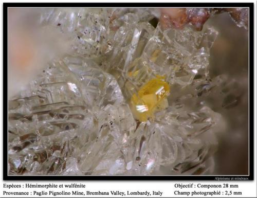 Wulfenite and hemimorphite
Paglio Pignolino Mine, Dossena, Brembana Valley, Bergamo, Lombardy, Italy
fov 2.5 mm (Author: ploum)