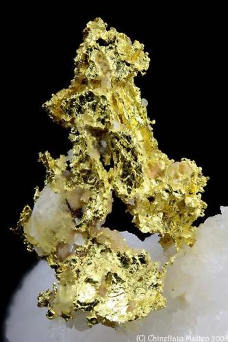 Gold
Brusson Mine, Brusson, Ayas Valley, Aosta Valley, Italy
Classic Brusson Gold of 12 mm (Author: Matteo_Chinellato)