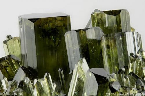 Vesuvianite
Bellecombe, Châtillon, Aosta Valley, Italy
19.94 mm
19.94 mm area with several green-dark Vesuvianite crystals (Author: Matteo_Chinellato)