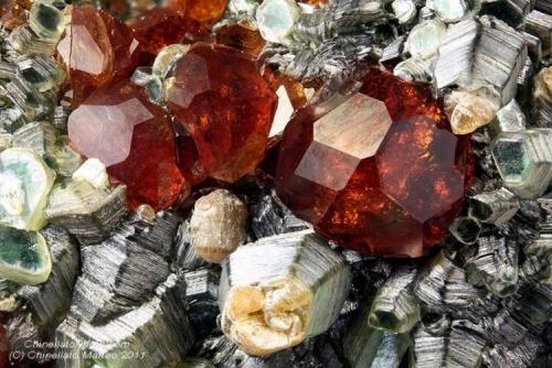 Grossular var. Hessonite
Bellecombe, Châtillon, Aosta Valley, Italy
10.54 mm group of gemmy Hessonite crystals (Author: Matteo_Chinellato)