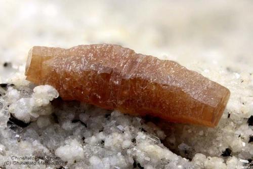 Synchysite-(Ce)
Mt Cervandone (Scherbadung), Devero Alp (Devero Valley; Val Devero), Baceno, Ossola Valley, Verbano-Cusio-Ossola Province, Piedmont, Italy
Rarest orange Synchysite-(Ce) crystal of 8.07 mm (Author: Matteo_Chinellato)