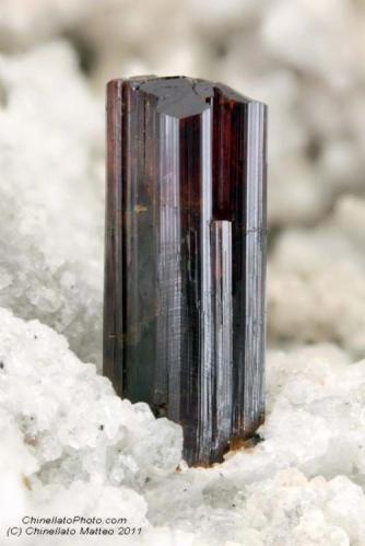 Rutile
Susa Valley, Torino Province, Piedmont, Italy
2.7 mm Rutile crystal (Author: Matteo_Chinellato)
