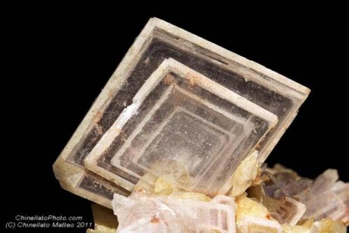 Baryte
Brosso Mine, Cálea, Léssolo, Canavese District, Torino Province, Piedmont, Italy
14.7 mm pink pale Baryte crystal with ghost’s (Author: Matteo_Chinellato)