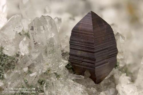 Anatase
Formazza Valley, Verbano-Cusio-Ossola Province, Piedmont, Italy
Perfect 2.73 mm red-dark Anatase crystal (Author: Matteo_Chinellato)