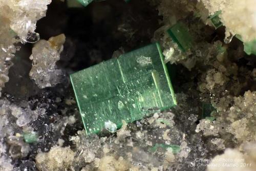 Zeunerite
Montoso Quarries, Ortieul, Bagnolo Piemonte, Cuneo Province, Piedmont, Italy
1.05 mm tabular green Zeunerite crystal (Author: Matteo_Chinellato)