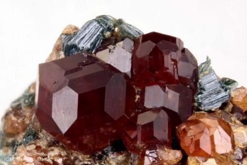 Grossular var. Hessonite
Susa Valley, Torino Province, Piedmont, Italy
9.21 mm group of red " ruby " Hessonite crystals (Author: Matteo_Chinellato)