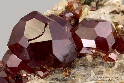 Grossular var. Hessonite
Viù Valley, Lanzo Valley, Sesia-Lanzo zone, Torino Province, Piedmont, Italy
8.92 mm group of red Hessonite crystals (Author: Matteo_Chinellato)