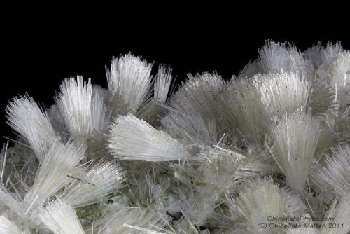 Scolecite
Formazza Valley, Verbano-Cusio-Ossola Province, Piedmont, Italy
31 mm carpet of Scolecite tufts (Author: Matteo_Chinellato)