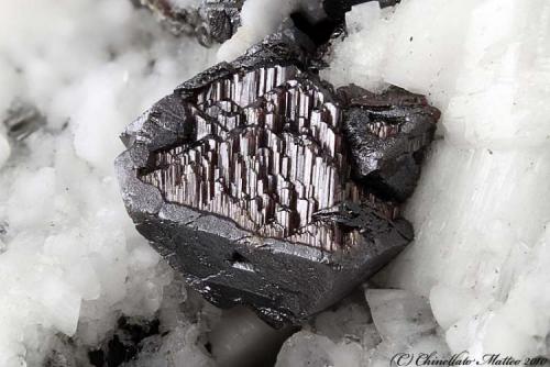 Anatase, Rutile
Mt Cervandone (Scherbadung), Devero Alp (Devero Valley; Val Devero), Baceno, Ossola Valley, Verbano-Cusio-Ossola Province, Piedmont, Italy
Nice 2.94 mm epitaxy of Rutile on a Anatase crystal (Author: Matteo_Chinellato)