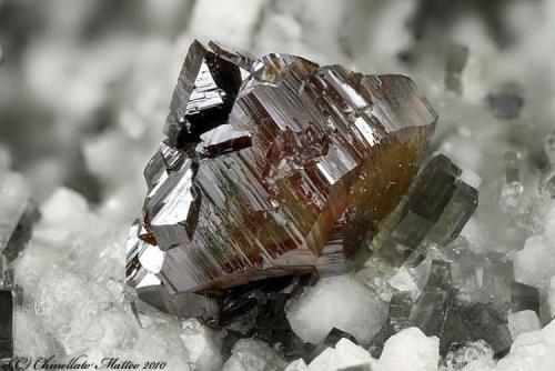 Rutile
Mt Cervandone (Scherbadung), Devero Alp (Devero Valley; Val Devero), Baceno, Ossola Valley, Verbano-Cusio-Ossola Province, Piedmont, Italy
2.85 mm yellow-orange Rutile crystal (Author: Matteo_Chinellato)