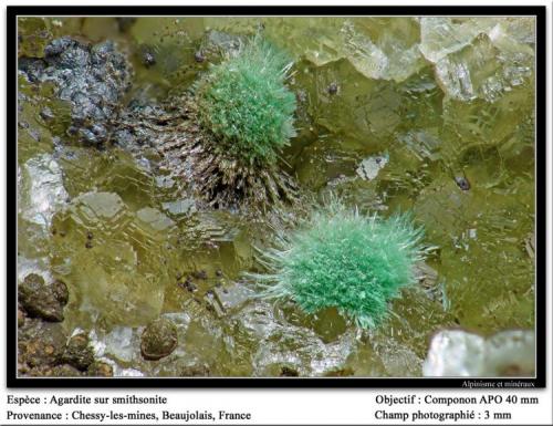 Agardite on smithsonite
Chessy-les-mines, Beaujolais, France
fov 3 mm (Author: ploum)