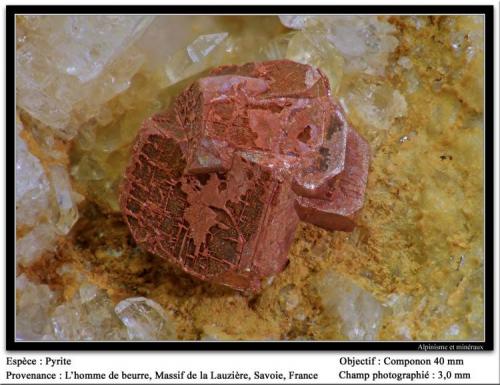 Pyrite
L’Homme de Beurre, La Lauzière massif, Savoie, Rhône-Alpes, France
fov 3 mm (Author: ploum)