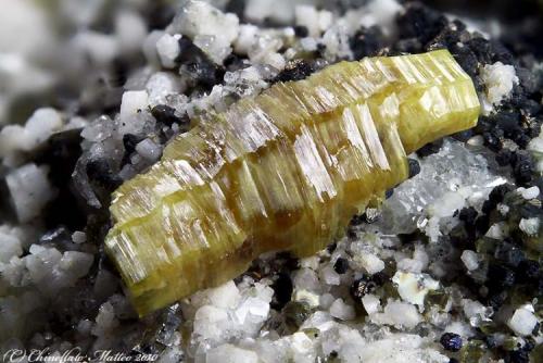 Synchysite-(Ce)
Mt Cervandone (Scherbadung), Devero Alp (Devero Valley; Val Devero), Baceno, Ossola Valley, Verbano-Cusio-Ossola Province, Piedmont, Italy
5.37 mm yellow dark Synchysite crystal (Author: Matteo_Chinellato)