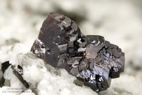 Rutile
Mt Cervandone (Scherbadung), Devero Alp (Devero Valley; Val Devero), Baceno, Ossola Valley, Verbano-Cusio-Ossola Province, Piedmont, Italy
4.27 mm group of red-dark Rutile crystals (Author: Matteo_Chinellato)