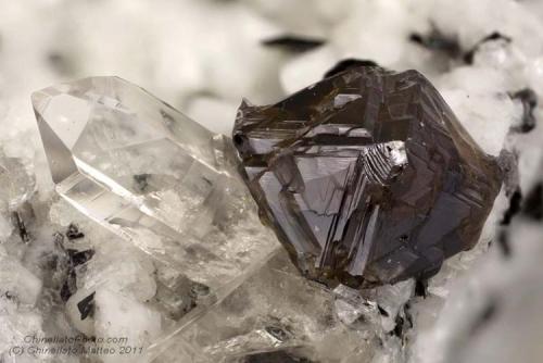 Anatase
Mt Cervandone (Scherbadung), Devero Alp (Devero Valley; Val Devero), Baceno, Ossola Valley, Verbano-Cusio-Ossola Province, Piedmont, Italy
3.53 mm yellow-amber transparent Anatase crystal (Author: Matteo_Chinellato)