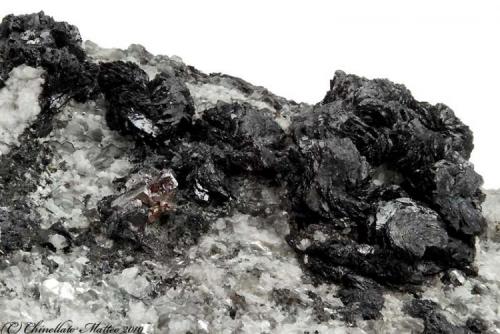 Cervandonite-(Ce)
Mt Cervandone (Scherbadung), Devero Alp (Devero Valley; Val Devero), Baceno, Ossola Valley, Verbano-Cusio-Ossola Province, Piedmont, Italy
20.36 mm group of black Cervandonite-Ce roses (Author: Matteo_Chinellato)